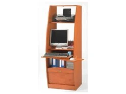 Armoire Informatique Galbée Largeur 60 Cm 5 Niches - Coloris: Merisier