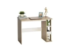 Bureau Informatique BILL Bois Et Blanc