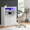 Secrétaire Avec 2 Portes - Avec LEDs - MDF - Blanc Lacqué - MELIONA