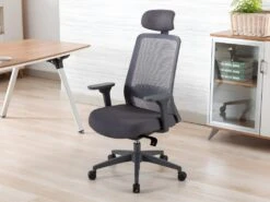 Fauteuil De Bureau Ergonomique Professionnel - Avec Têtière - Nylon Et Tissu - Gris - BANKANO
